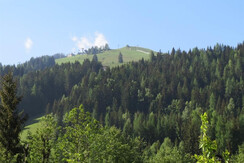 APT A B C VIEW FROM KITCHEN WINDOWS