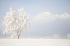 Winterlandschaft