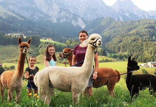 Alpaka Trekking in Leogang