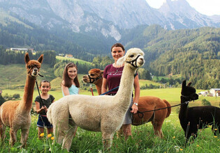 Alpaka Trekking in Leogang