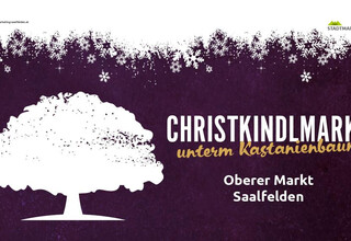 Christkindlmarkt unterm Kastanienbaum