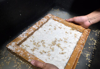 Papierschöpfen_Herbst_WEB