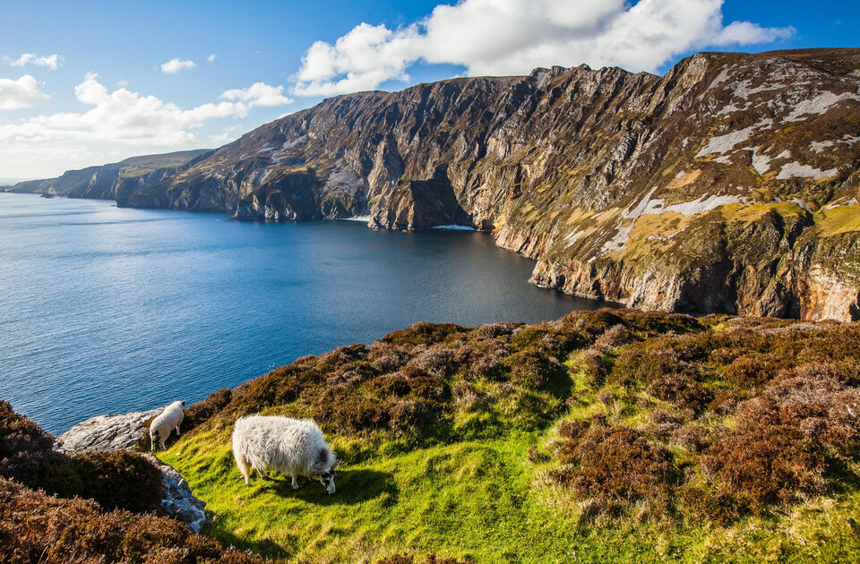 RoNeu_Irland_001