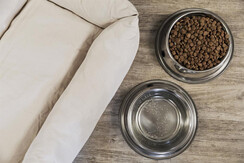 Urlaub mit Hund Urlaub mit Hund