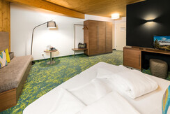 Room Superior  - Hotel die Hindenburg