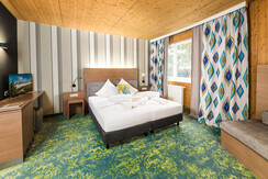 Zimmer Superior 1 - Hotel die Hindenburg