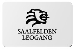 Saalfelden Leogang Card