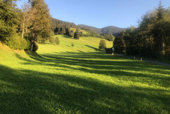 Blick von der Terasse nach Süden (Sommer)