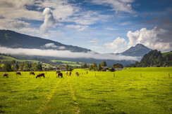 20200922_MatzhofAussen_018_klein 20200922_MatzhofAussen_018_klein