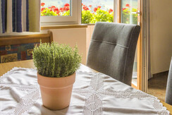 20200922_MatzhofInnen_136_klein 20200922_MatzhofInnen_136_klein