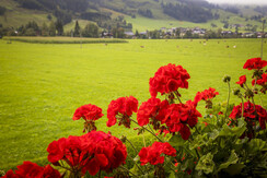 20200922_MatzhofInnen_119_klein 20200922_MatzhofInnen_119_klein