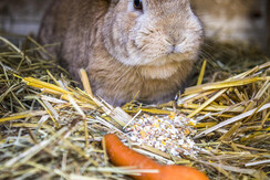 20200922_MatzhofAussen_092_klein 20200922_MatzhofAussen_092_klein