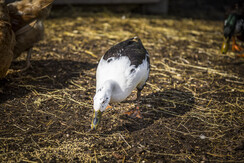 20200922_MatzhofAussen_119_klein 20200922_MatzhofAussen_119_klein