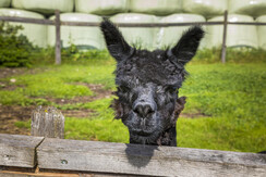 20200922_MatzhofAussen_094_klein 20200922_MatzhofAussen_094_klein