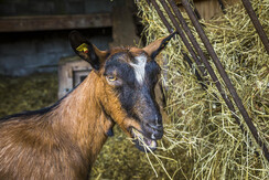 20200922_MatzhofAussen_138_klein 20200922_MatzhofAussen_138_klein