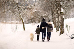 Winterwandern Winterwandern