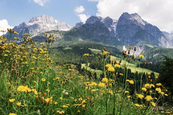 Sommer Sommer