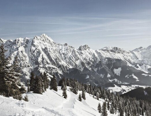 Winter Winter