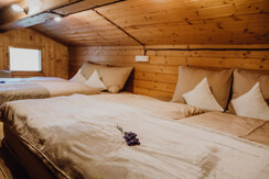 06BD5C37-431D-4208-B9B0-328A564061FB 06BD5C37-431D-4208-B9B0-328A564061FB