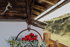 8F983728-959C-455D-8584-CD7A641C7C6C 8F983728-959C-455D-8584-CD7A641C7C6C