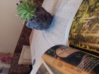 Wohnzimmer Wohnzimmer
