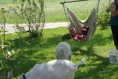 DSC00717Josef in Hängesessel DSC00717Josef in Hängesessel