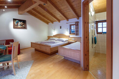 Scheiber08 Scheiber08