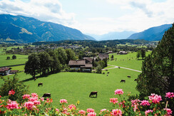 s260901_Appartements-009
