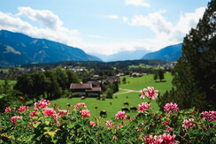 s260901_Appartements-073